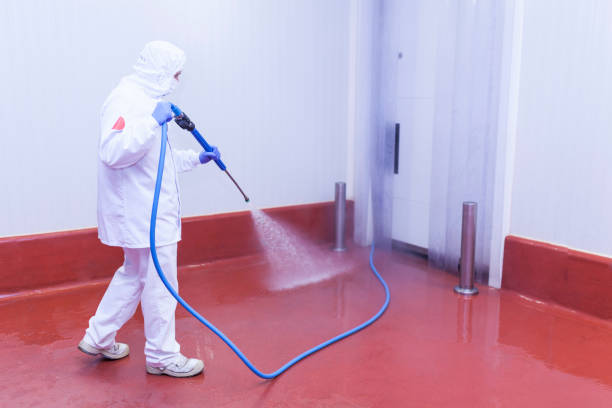Boat and Dock Cleaning in Closter, NJ